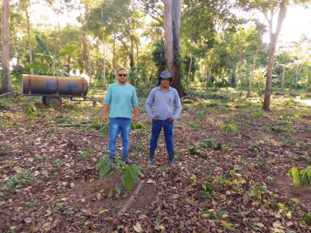 Visitas em propriedades para entrega de 55 mil mudas e revitalização das lavouras de cacau em Linhares começam pela Agricultura