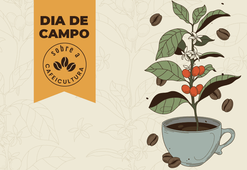 Evento de Dia de Campo reúne produtores em Colatina