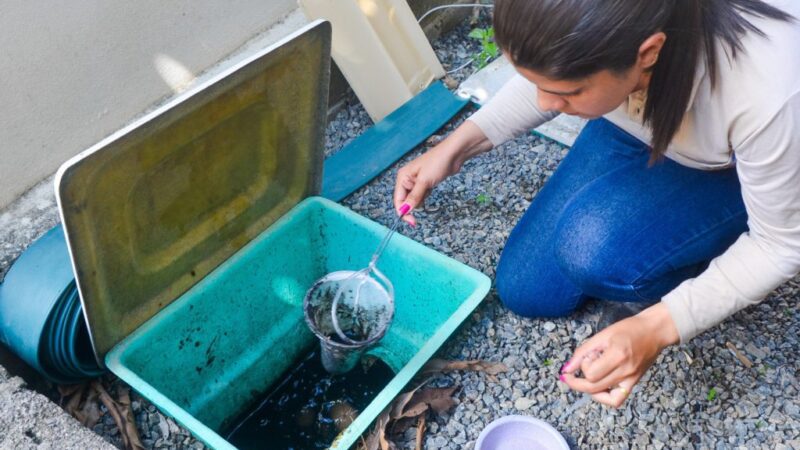 Ação de combate à dengue conta com apoio da Prefeitura neste domingo (7)