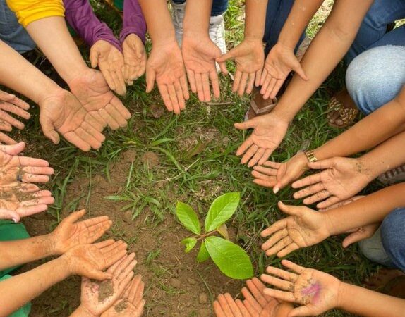 Prefeitura de Aracruz promove semana do meio ambiente com programação especial