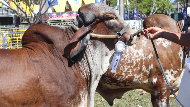 26ª Expo Aracruz movimenta milhões e consolida município como referência agropecuária no Espírito Santo