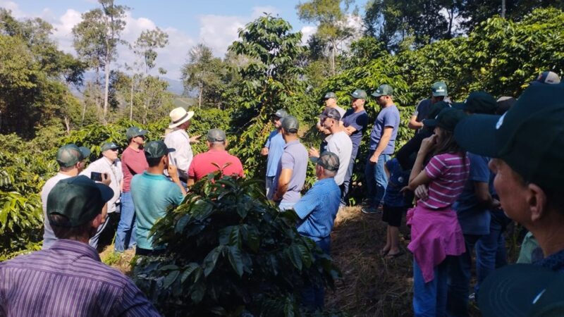 Incaper celebra 69 anos transformando a vida de quase 40 mil famílias rurais