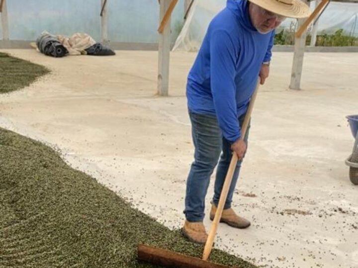 A Pimenta-do-Reino capixaba chega a 59 Países e consolida o estado como polo agroexportador