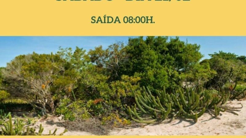 Trilha ecológica movimenta Temporada de Verão 2026 no Parque Estadual de Itaúnas