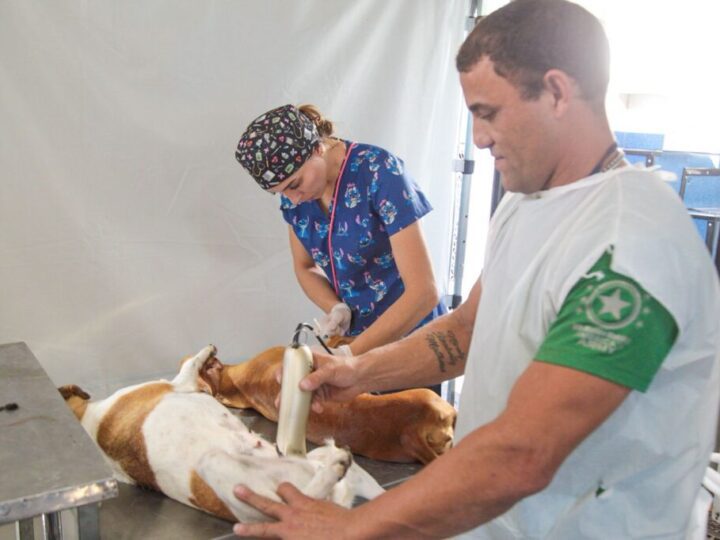 Carretão Pet Vida retoma ações em Linhares com foco na castração de pets no litoral