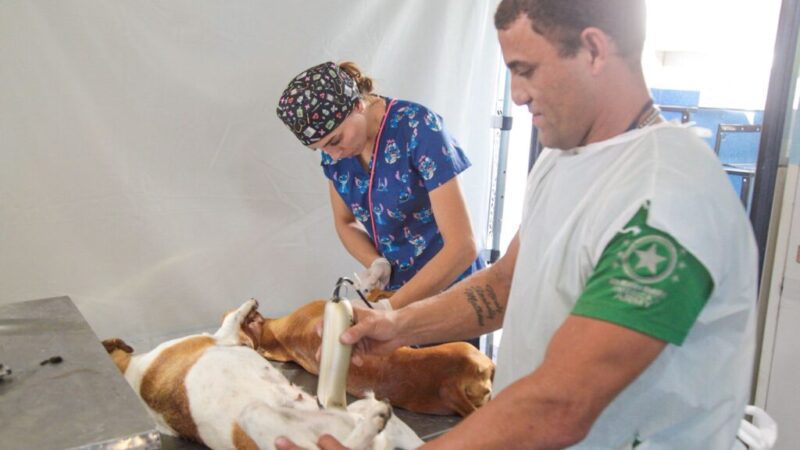 Carretão Pet Vida retoma ações em Linhares com foco na castração de pets no litoral