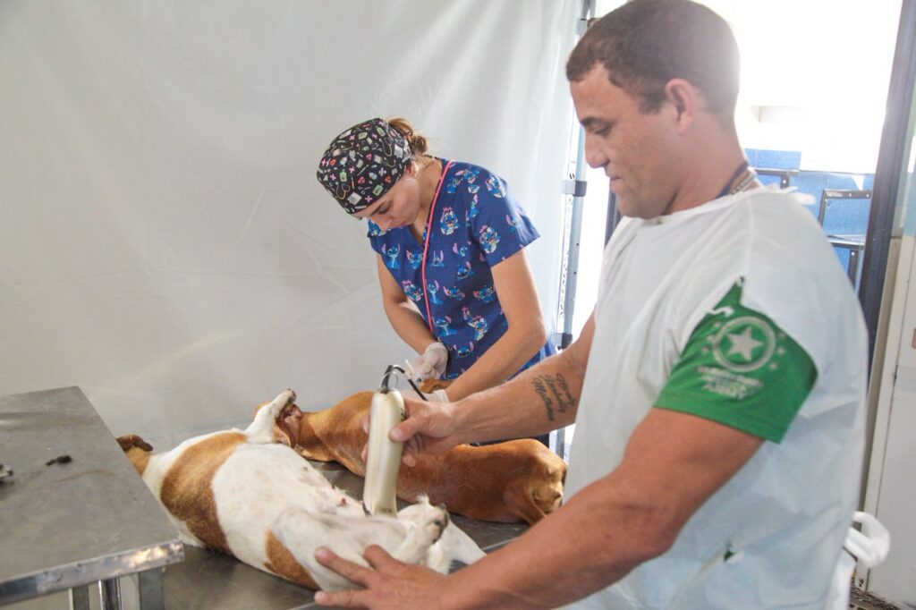 Carretão Pet Vida retoma ações em Linhares com foco na castração de pets no litoral