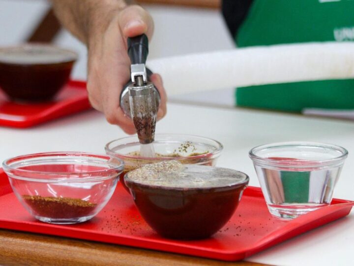 Concurso de Qualidade do Café chega à etapa de premiação nesta terça-feira (29)