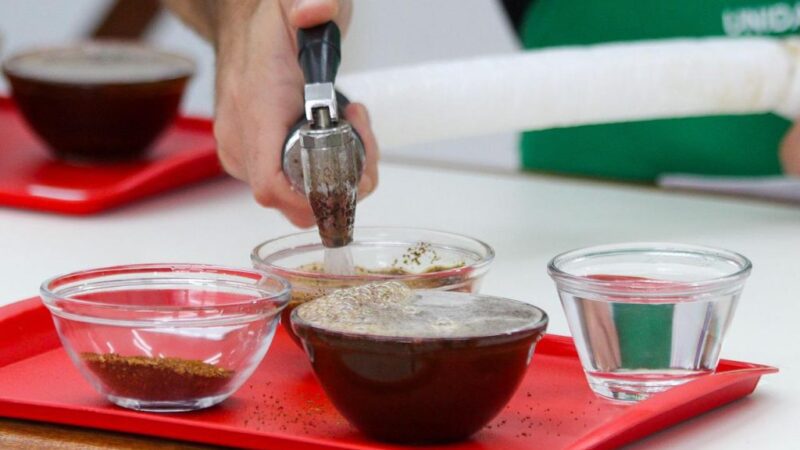 Concurso de Qualidade do Café chega à etapa de premiação nesta terça-feira (29)