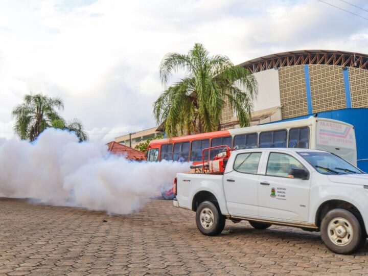 Nove regiões de Linhares recebem reforço no combate ao mosquito com carro fumacê