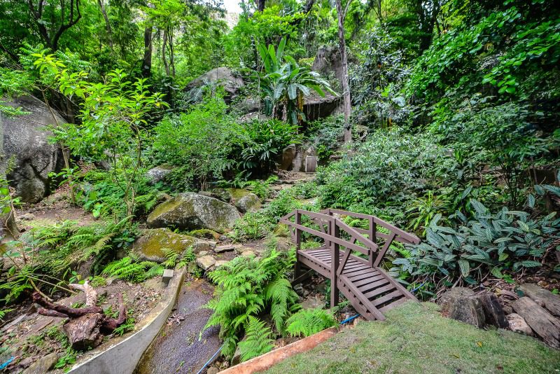 Protegendo as florestas: programa oferece suporte para preservação da fonte de vida