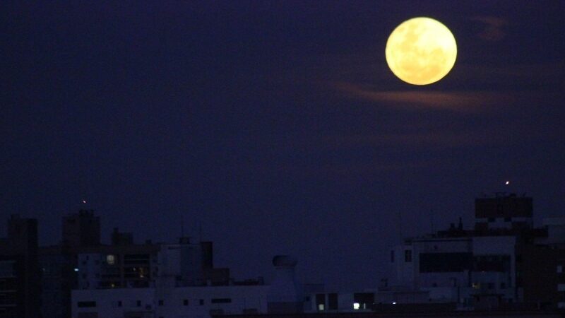 Aproveite a Noite de Sexta-feira com o Projeto Lua Cheia no Parque da Fonte Grande