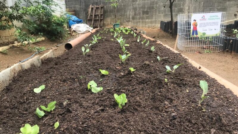 Troca consciente: Catadores de Cariacica estreiam horta para trocar hortaliças sem agrotóxicos por recicláveis