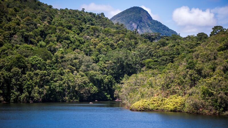 Reserva Biológica Duas Bocas completa 33 anos
