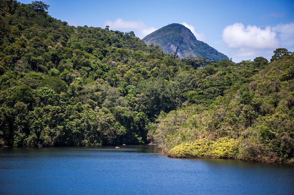 Reserva Biológica Duas Bocas completa 33 anos