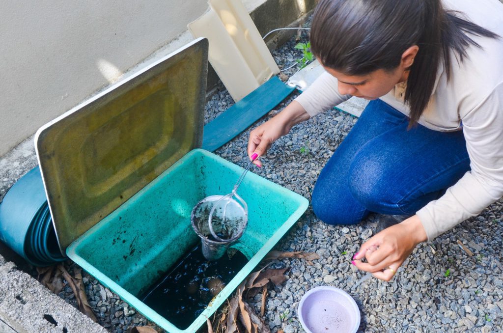 Ação de combate à dengue conta com apoio da Prefeitura neste domingo (7)