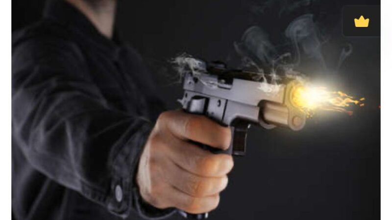 Proposta de Lei de Tyago Hoffmann Institui Multa Administrativa para Usuários de Armas em Atos Criminosos