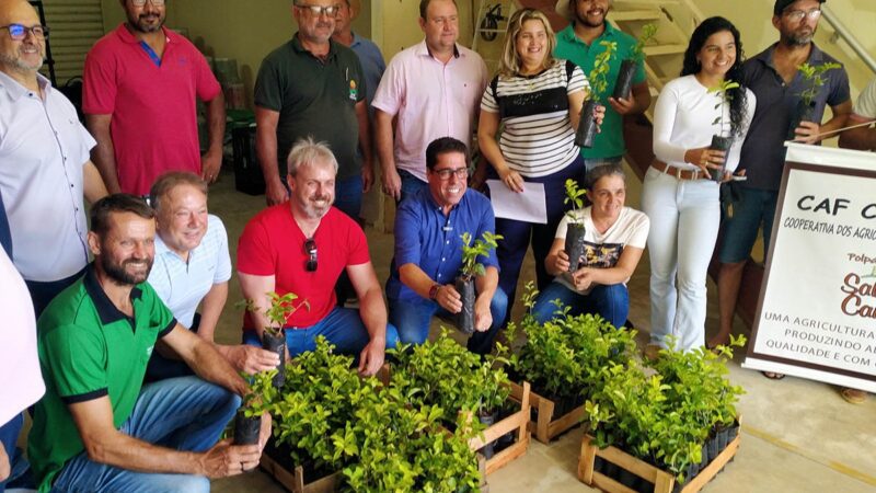 Fortalecimento da agricultura: Agricultores de Colatina são beneficiados com 400 mudas de acerola