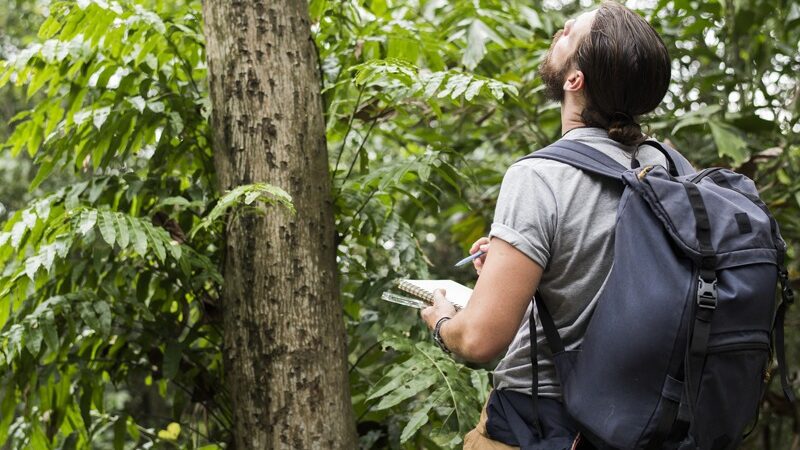 Oportunidade: Secretaria de Meio Ambiente lança processo seletivo