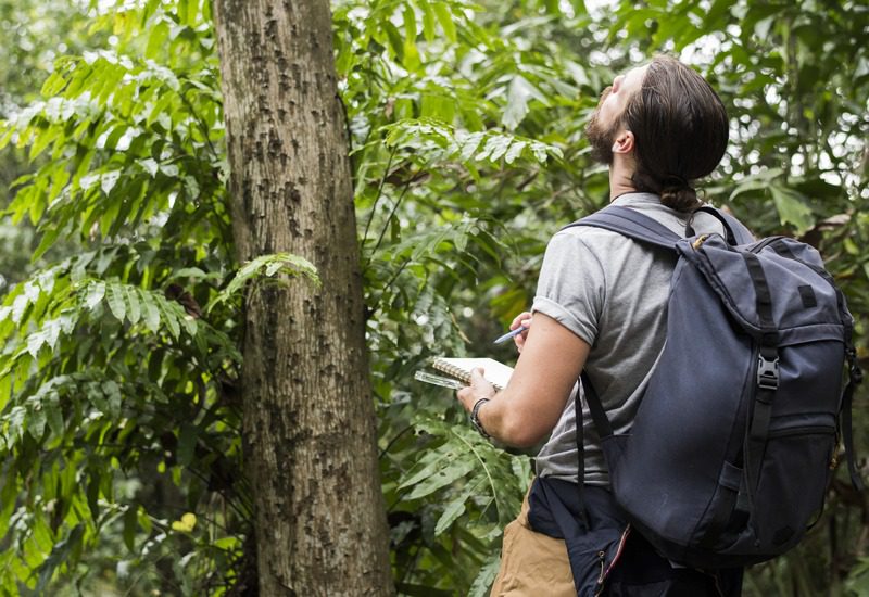 Oportunidade: Secretaria de Meio Ambiente lança processo seletivo