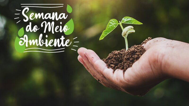 Semana do Meio Ambiente é celebrada em Colatina com eventos e ações