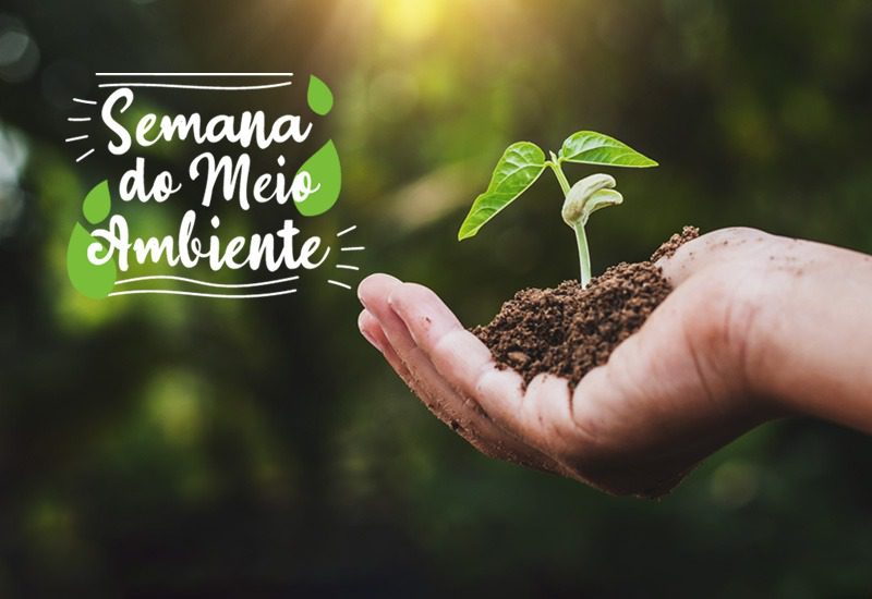 Semana do Meio Ambiente é celebrada em Colatina com eventos e ações