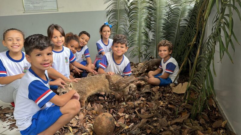 Escola do Canivete celebra Dia Mundial do Meio Ambiente com exposição de animais empalhados