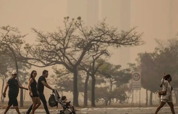 Riscos das queimadas: Como proteger a saúde pulmonar durante o período de estiagem