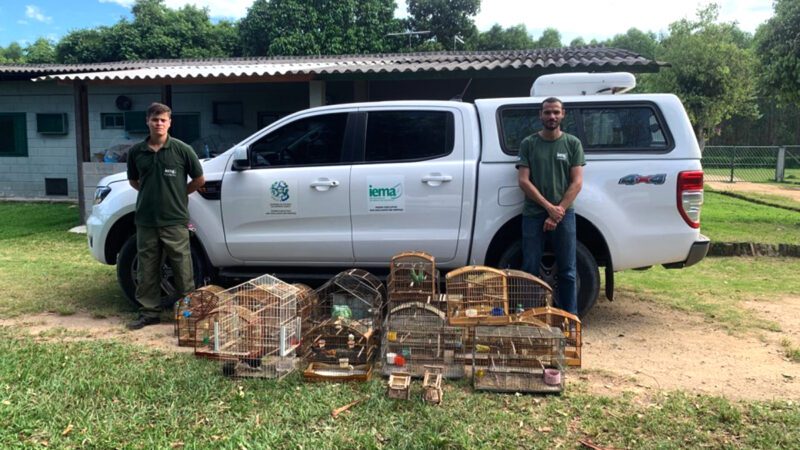 Operações do Iema enfrentam cativeiros ilegais de fauna em Aracruz