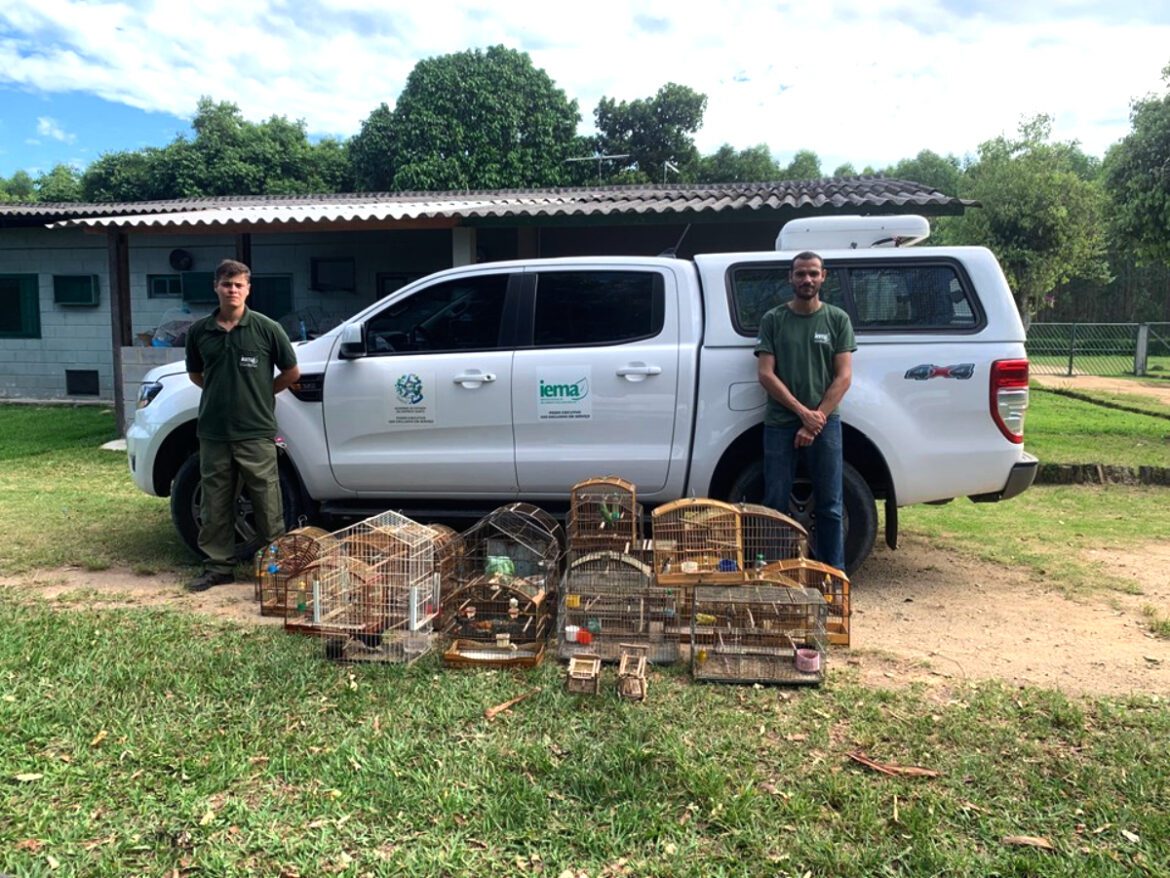 Operações do Iema enfrentam cativeiros ilegais de fauna em Aracruz