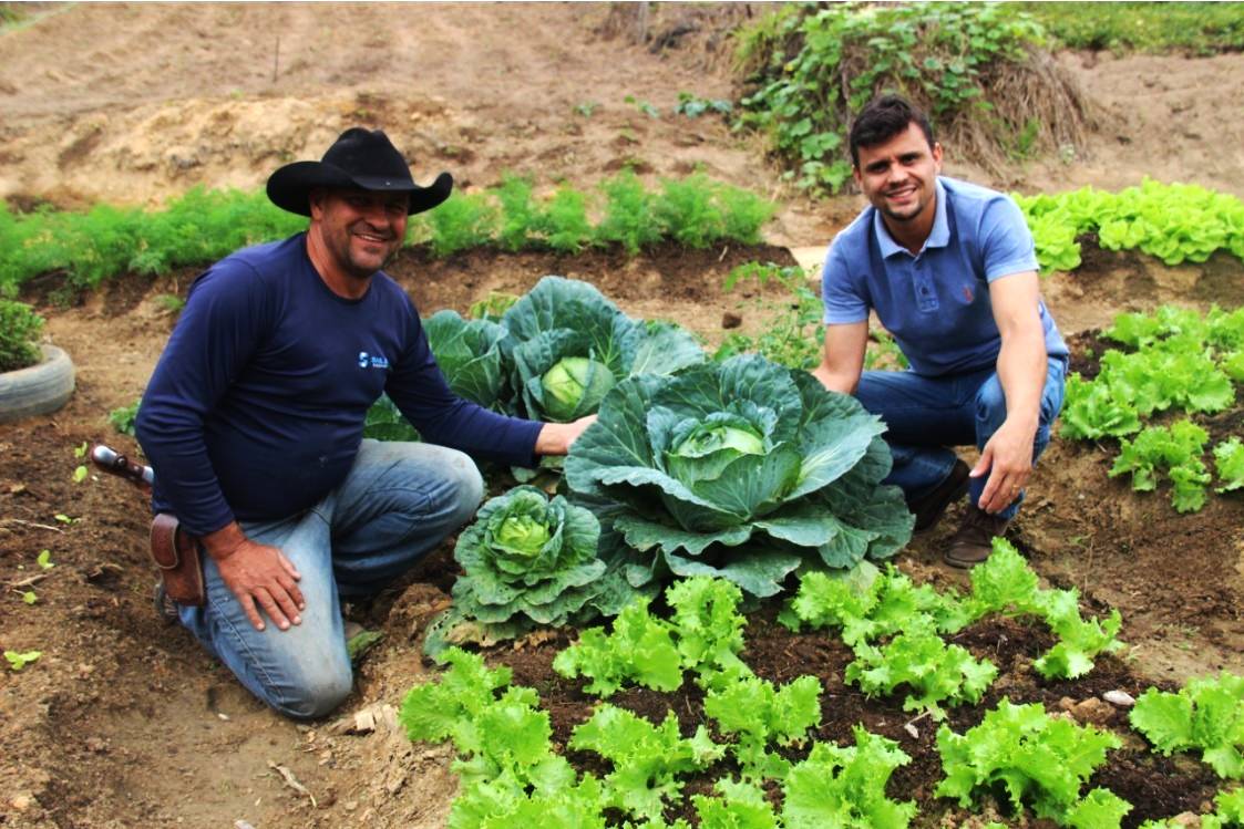 Até agora, o Hortão Municipal de Barra de São Francisco produziu 70 toneladas de alimentos