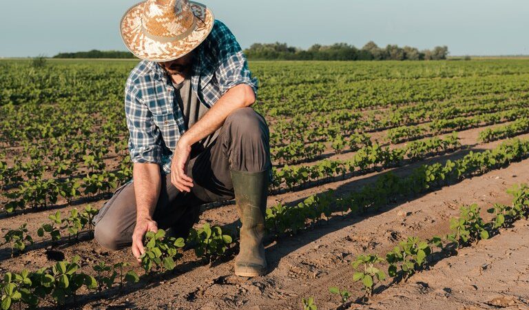 Carteira do Sicoob ES para o agronegócio é de R$ 5 bilhões