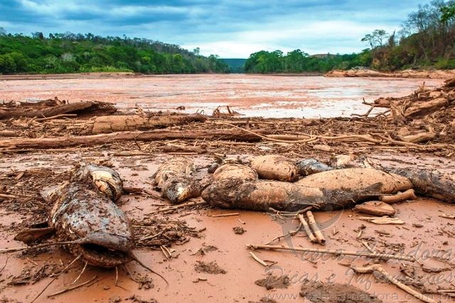 Lastênio Cardoso, prefeito de Baixo Guandu,mantém posição firme e recusa acordo insuficiente para indenizar os atingidos