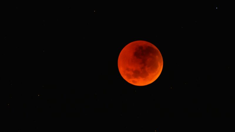 Observando a “Lua de Sangue”: Tudo sobre o eclipse total desta sexta-feira (14/03)